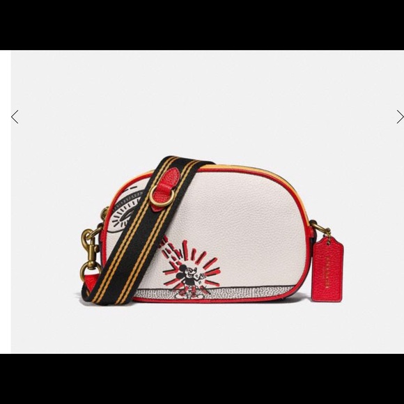Coach crossbody bag purse Disney Keith haring NWT